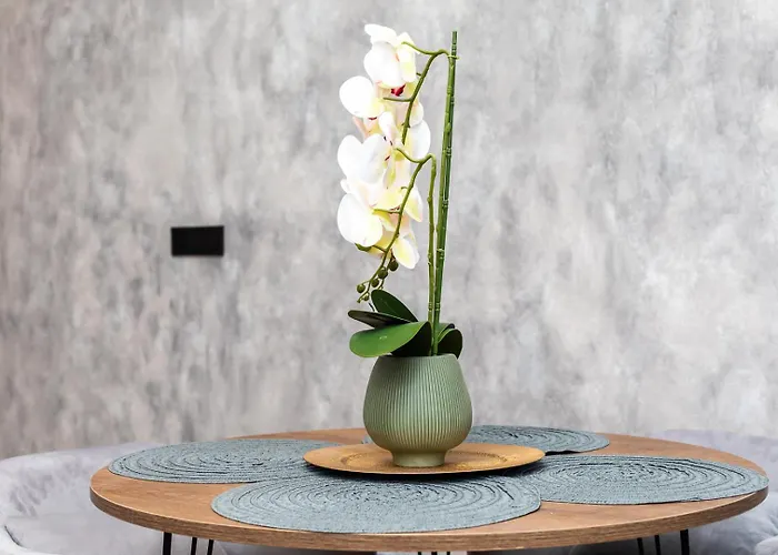 Apartamento Noguera Loft \