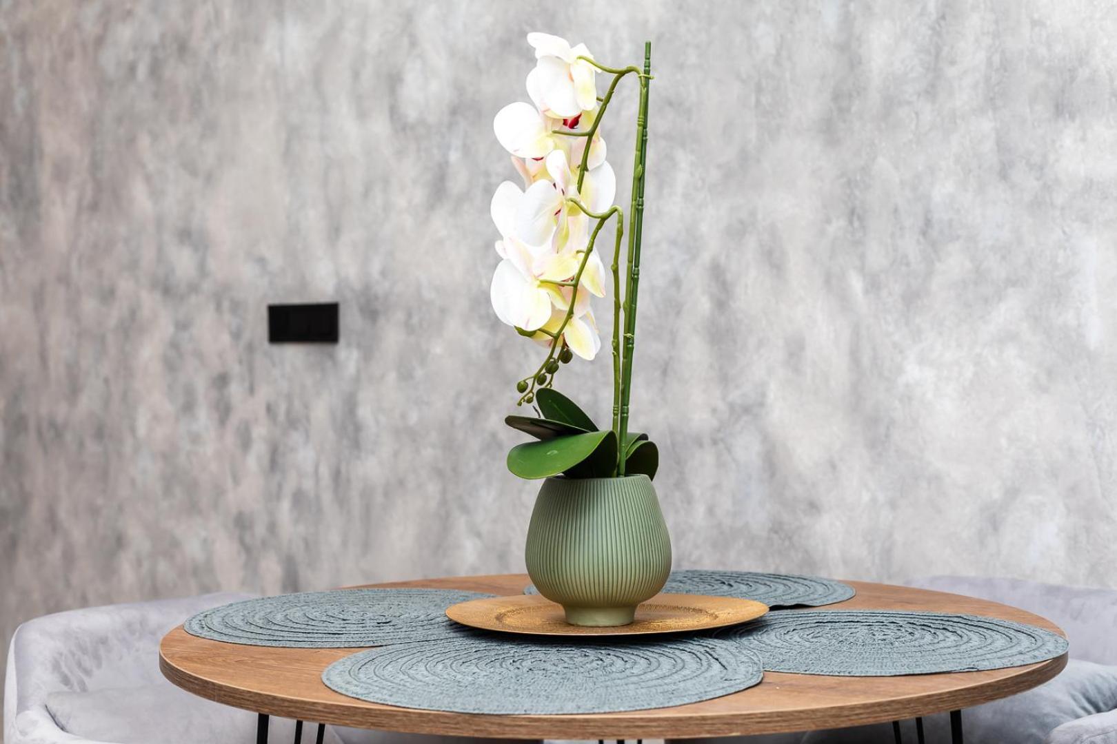 Noguera Loft 